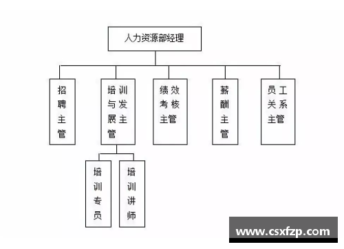 NBA管理层角色解析与职责分析